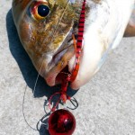 BOZLES TG DROP-K 80gr