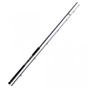 Shore Jigging rods (7)